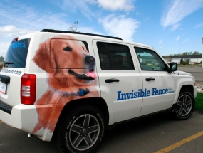 Invisible Fence
