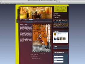 website_the-bent-lens