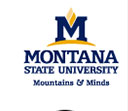 Montana State University