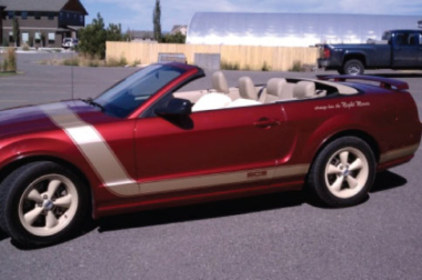 Ford-Mustang-Face-Lift-Pinstriping