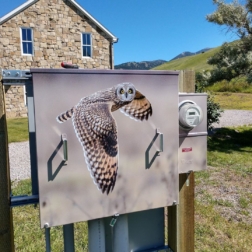 Grey Owl Vinyl Utility Box Wrap