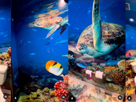 The Porcelain Reef Bathroom Wall Wrap